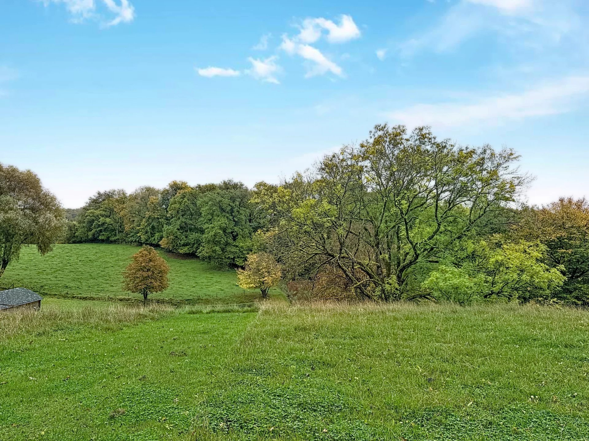 Grande Trussogne - Villa with 5 bedrooms and a studio