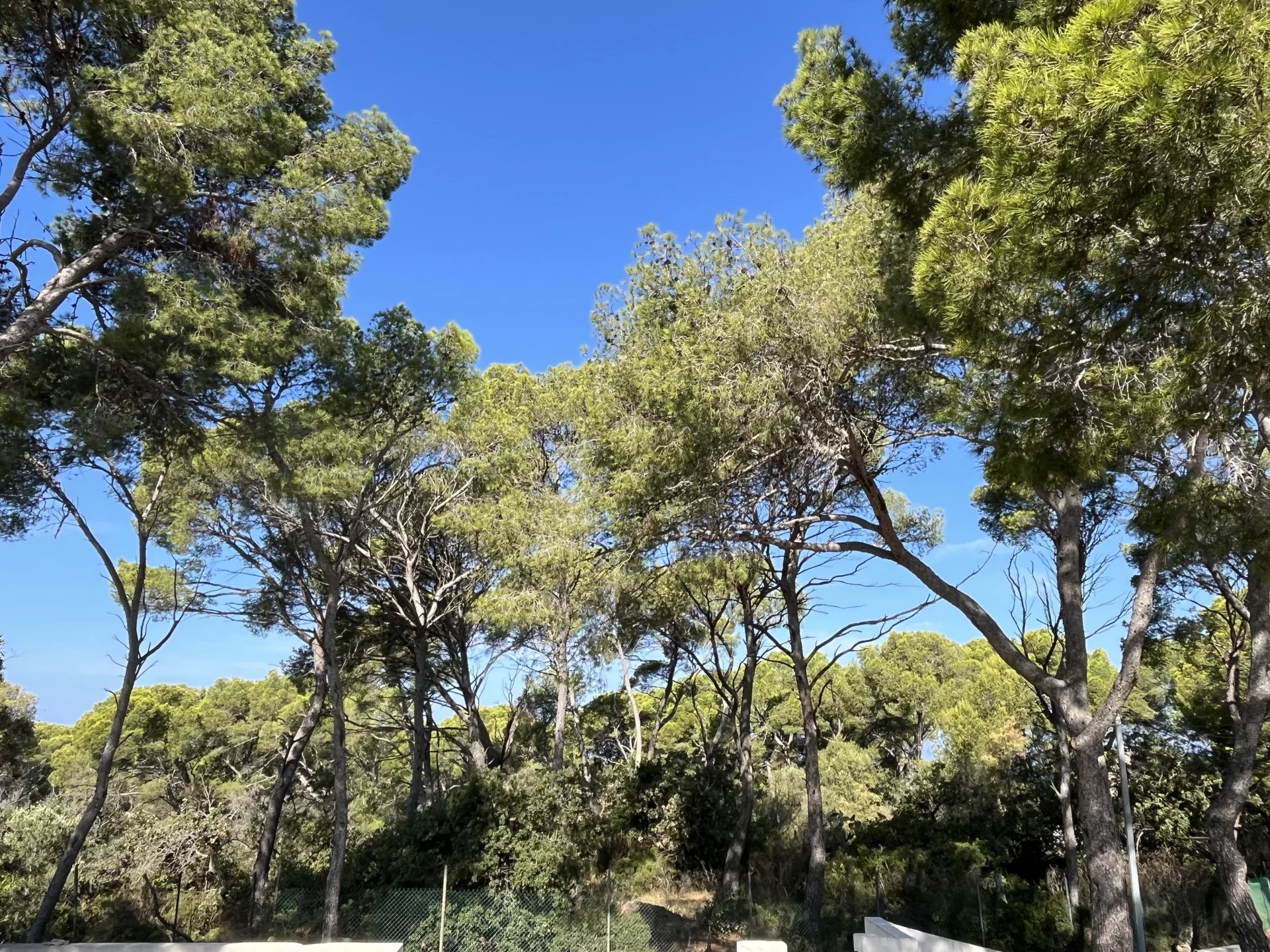 Propriété T4 au calme absolu en pleine nature sur 5100 m2 au Brusc