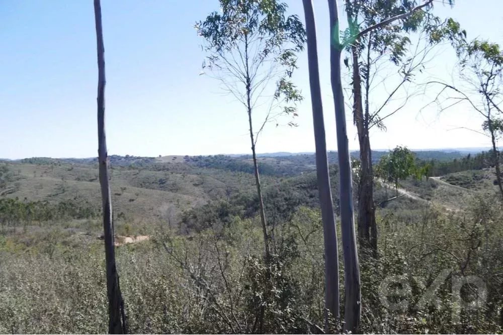 Exceptional 65-Hectare Estate in Alentejo with Tourism Development Potential 85506160 image 23