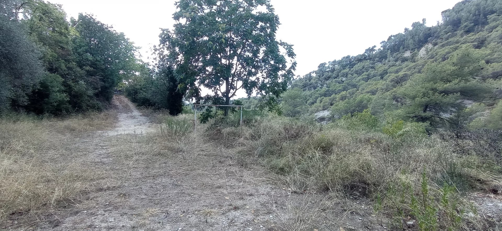 Terrain à L'Escarene - Photo 3