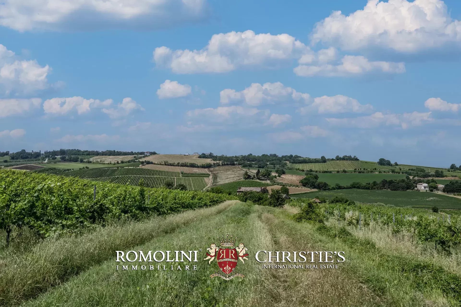 16 Bedroom Vineyard's Image 6