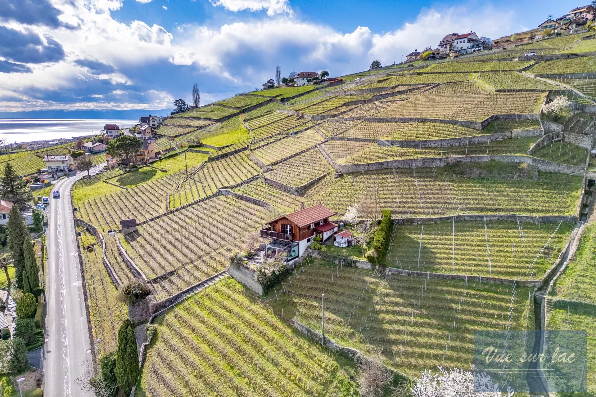 Charmant Chalet en bon état dans les vignes à Cully, entrée Riex