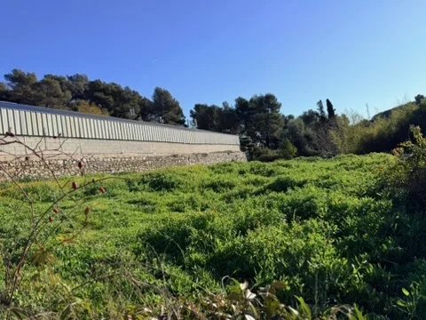 Agence immobilière de FC2