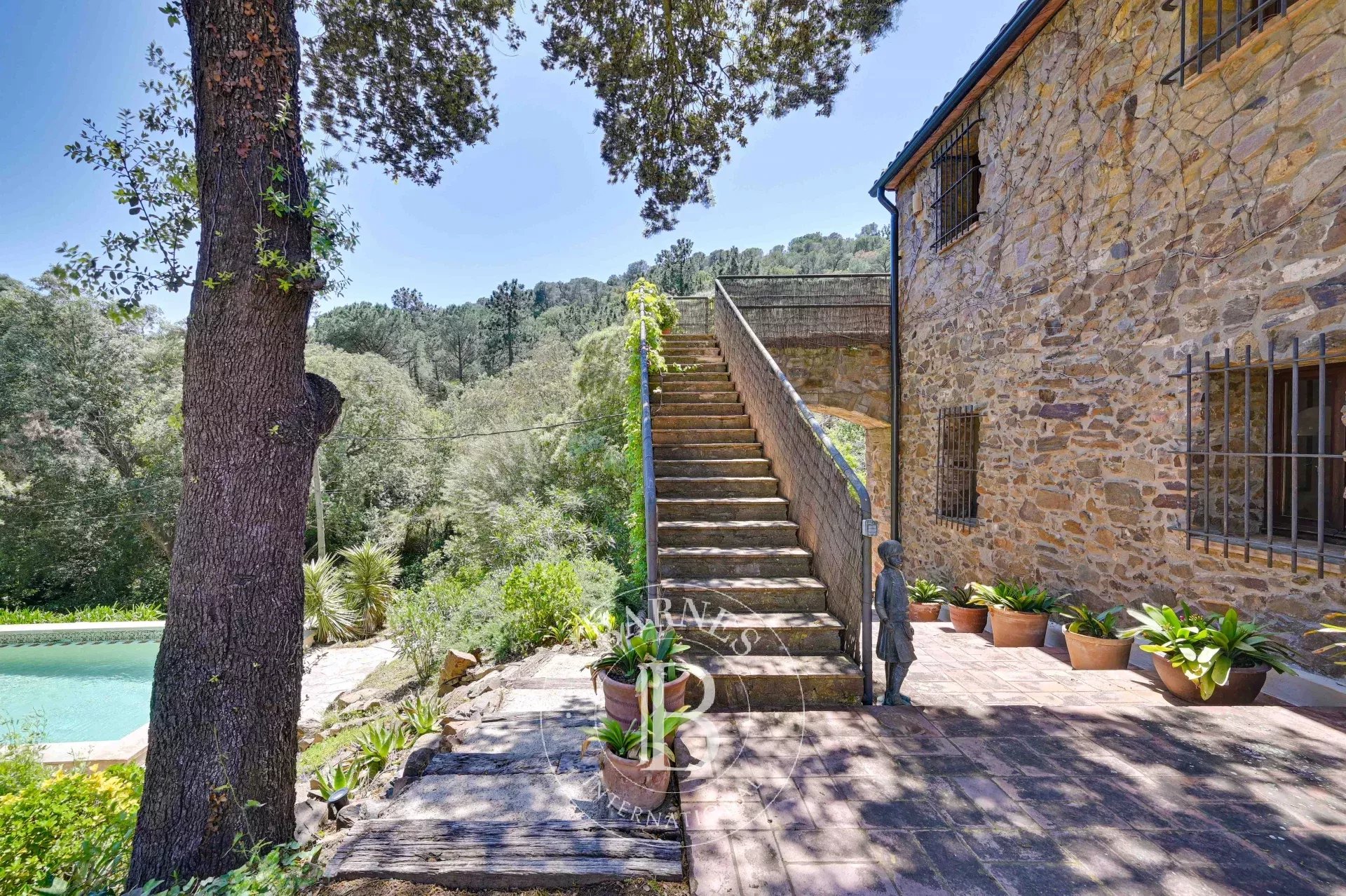 Çiftlik Mont-Ras - picture 35