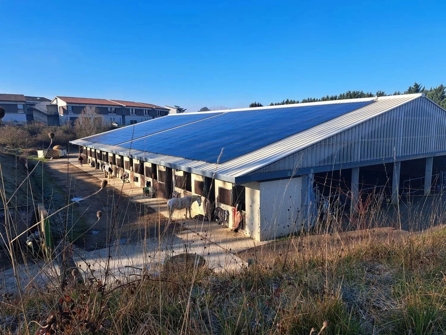 Agence immobilière de 
