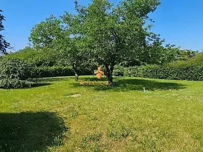 Agence immobilière de Arthurimmo.com Tarbes