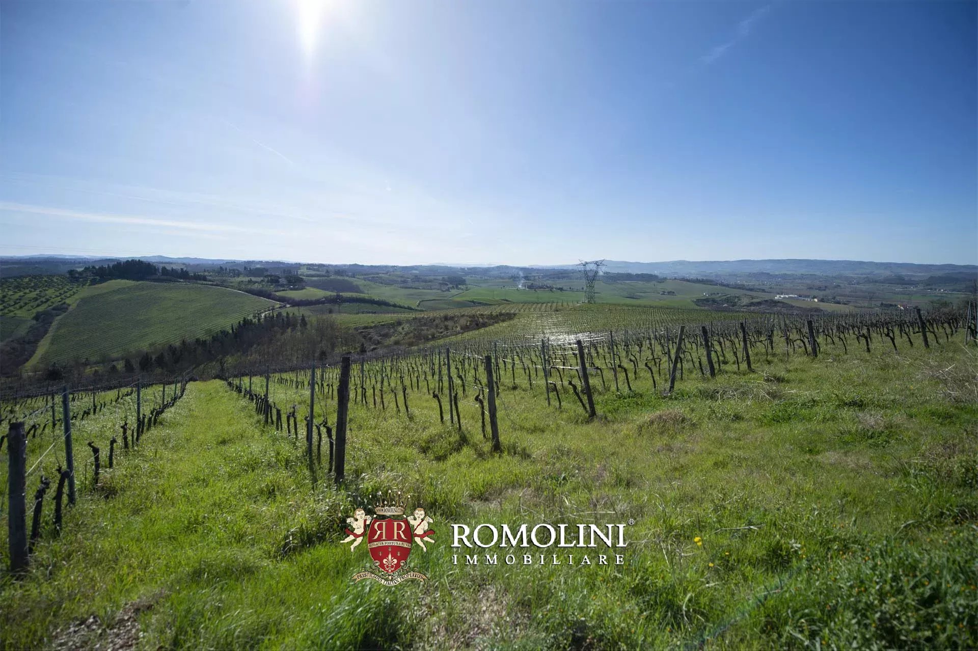 11 Bedroom Vineyard's Image 29
