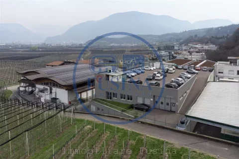 Magazzino---Capannone-in-vendita---Appiano-Sulla-Strada-Del-Vino-0