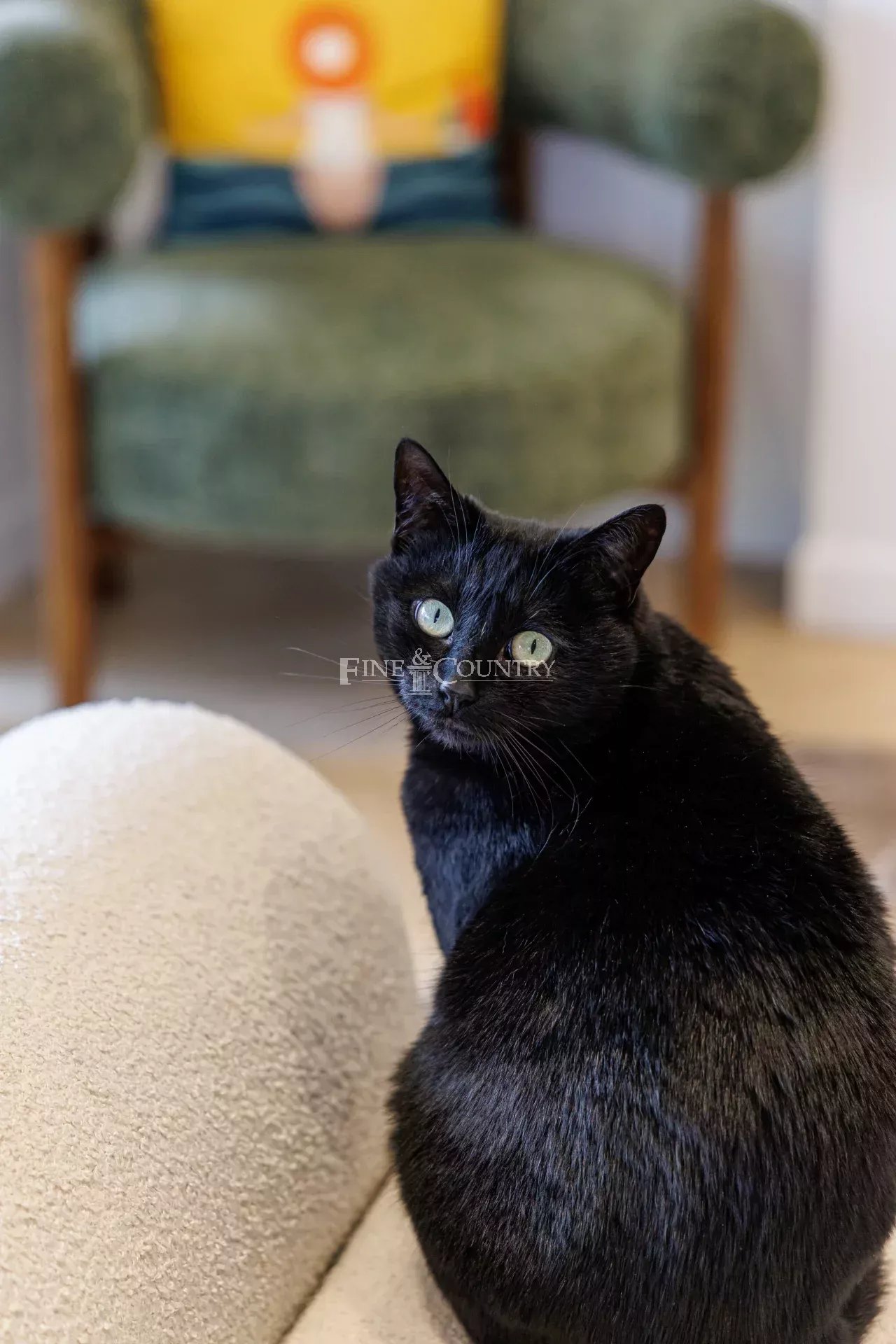 Photo of For Sale – 2-Bedroom Apartment – Cannes Montrose