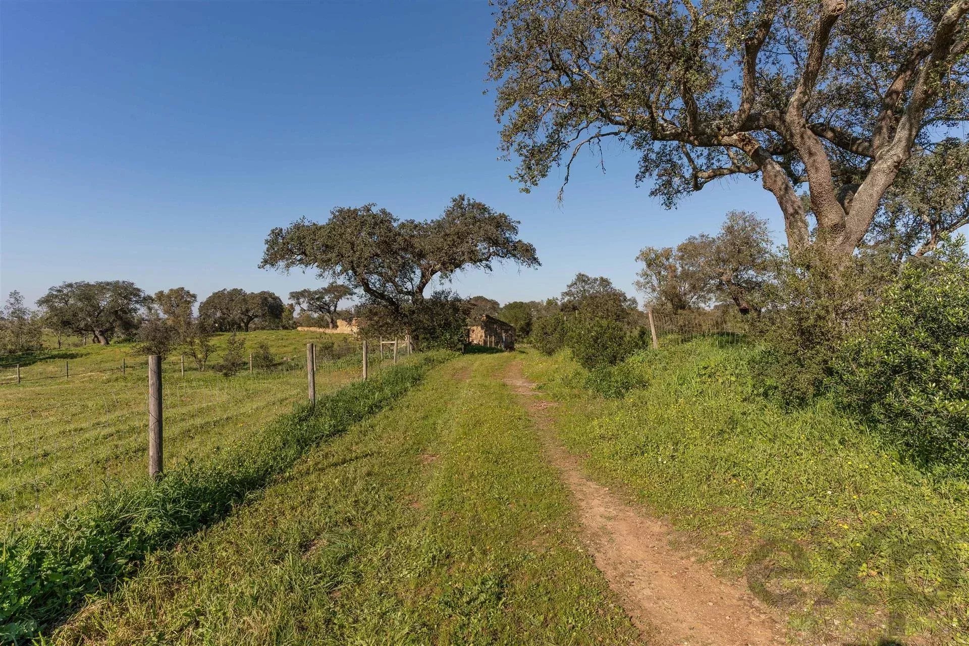 Private Estate - Equestrian Centre 86637172 image 55