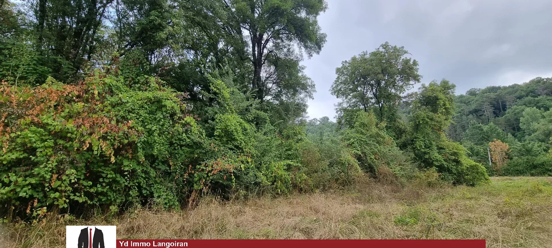 Agence immobilière de YD Immo