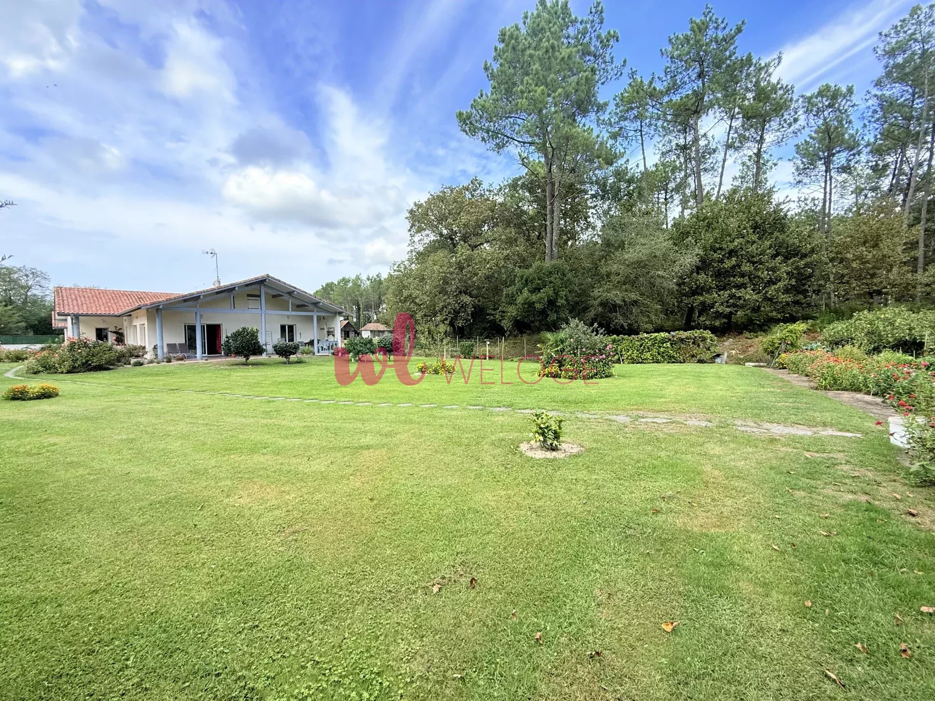 Agence immobilière de WeLoge