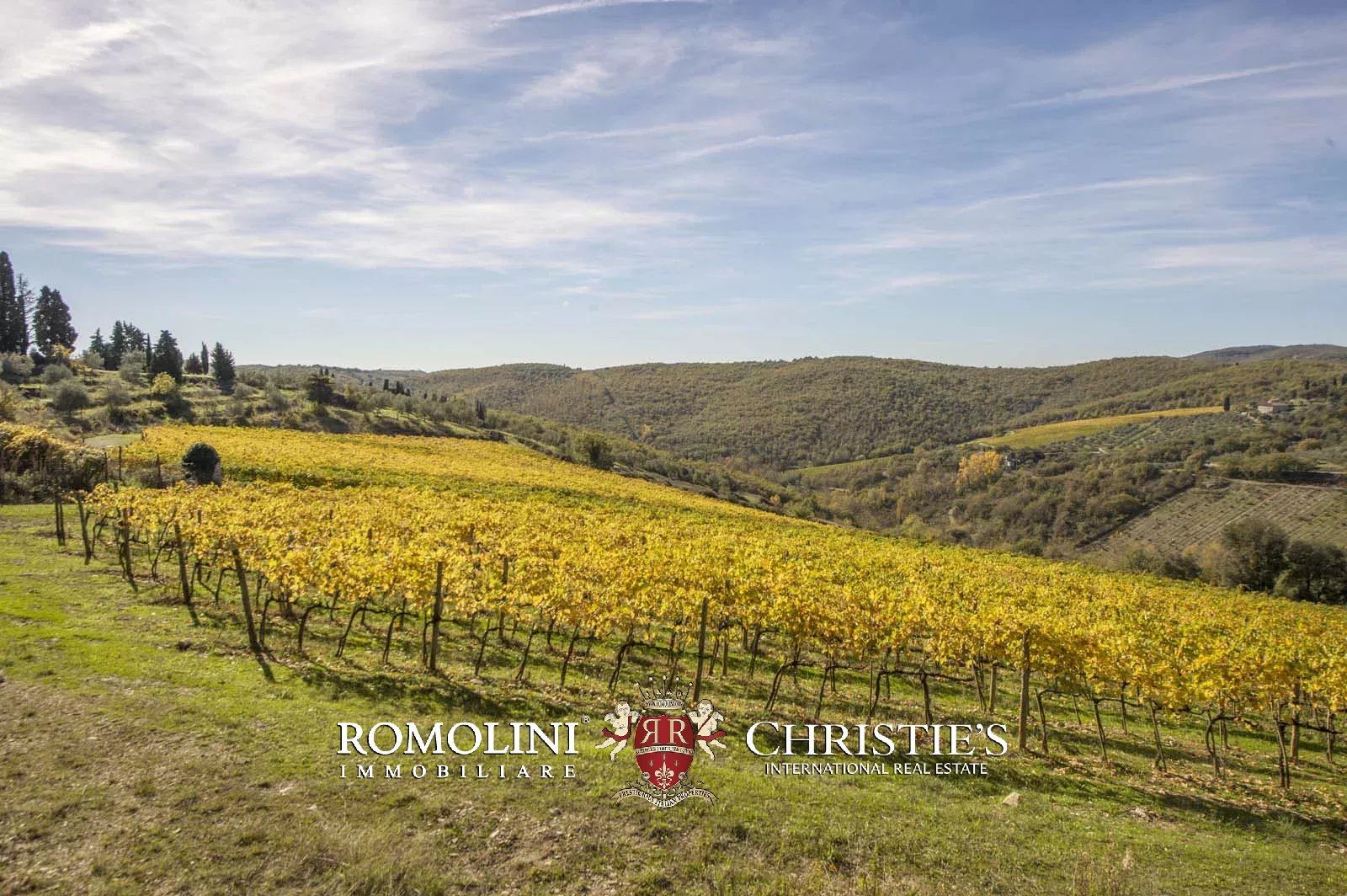 LUXURY HISTORICAL VILLA FOR SALE IN RADDA IN CHIANTI, TUSCANY