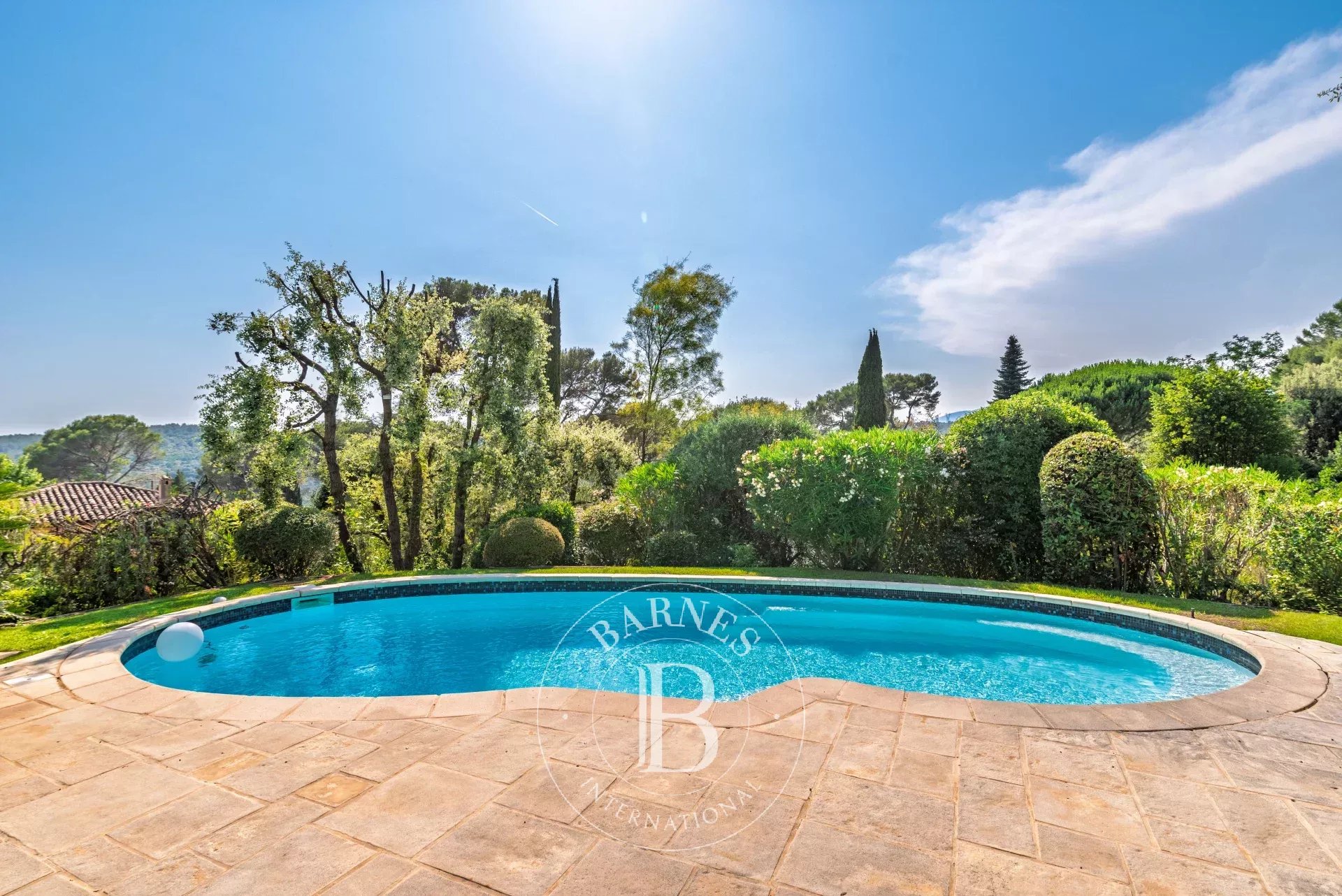 Villa Valbonne  -  ref 86855174 (picture 3)
