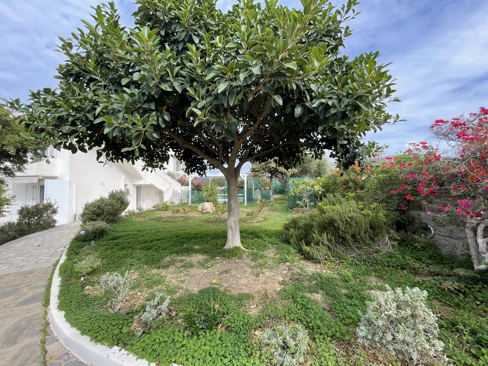 Εικόνα ιδιοκτησίας 3