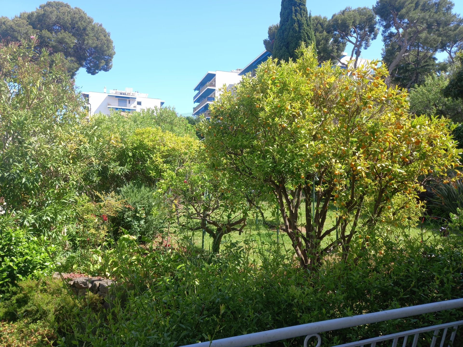 Sale Villa Roquebrune-Cap-Martin