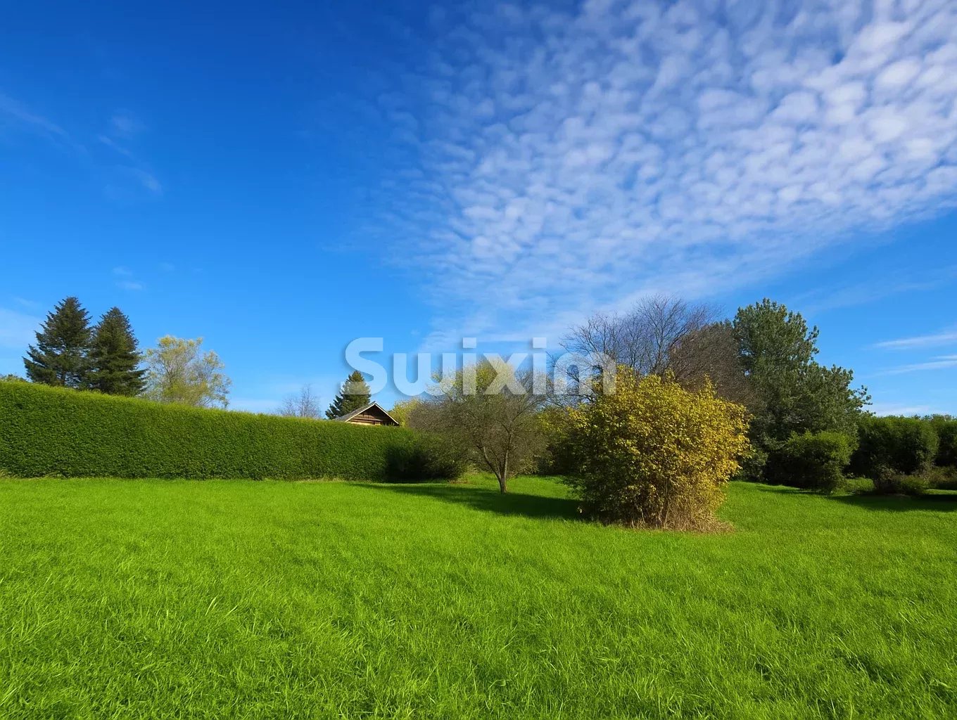 Agence immobilière de Swixim Cruseilles