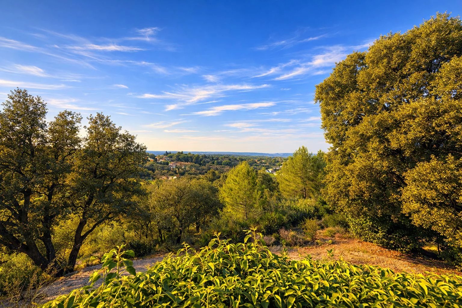 Mas ancien - sud d'Aix en Provence
