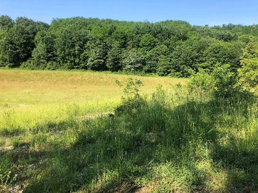 Vente Terrain Trélissac