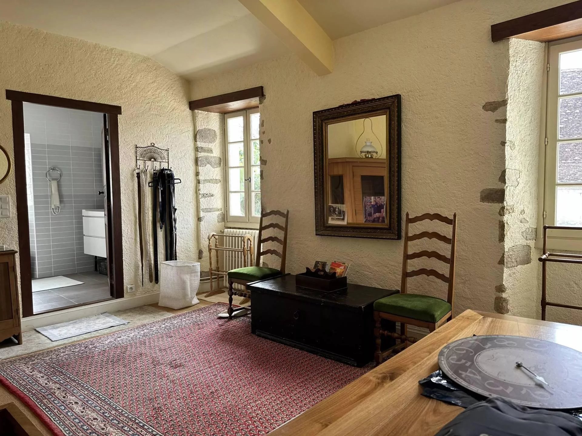 Maison 400m² de Maître sur 2 hectares - Sauveterre-de-Béarn (64390)