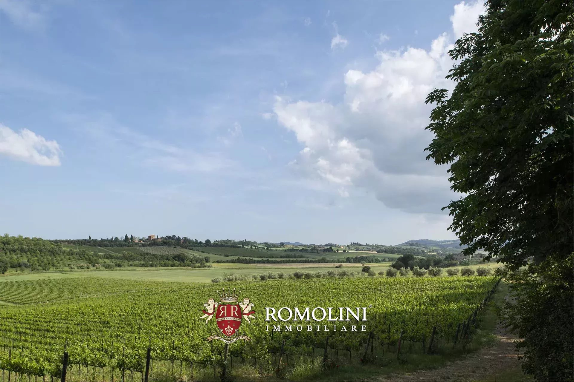 20 Bedroom Vineyard's Image 16