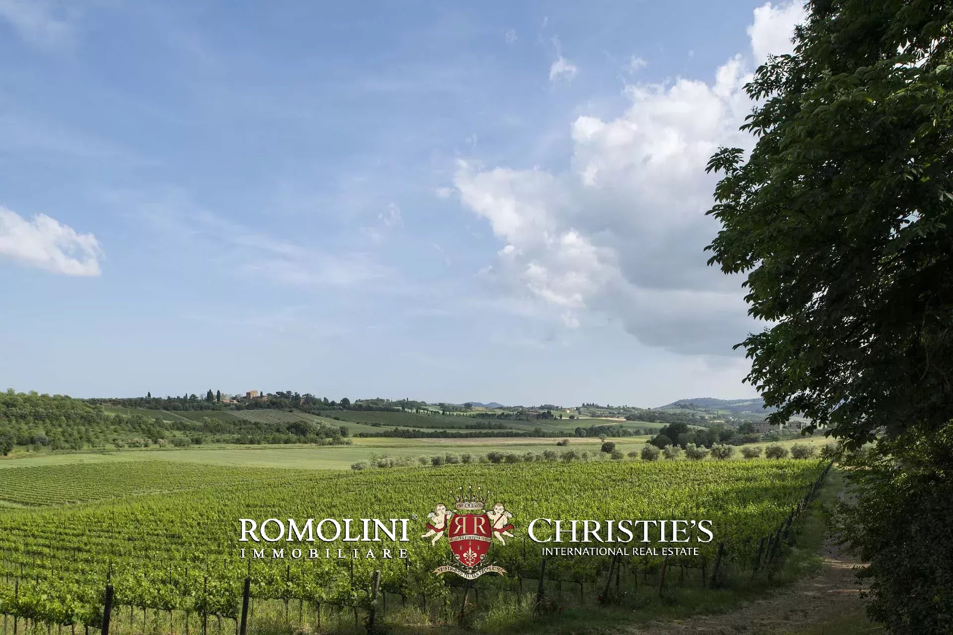 20 Bedroom Vineyard's Image 16