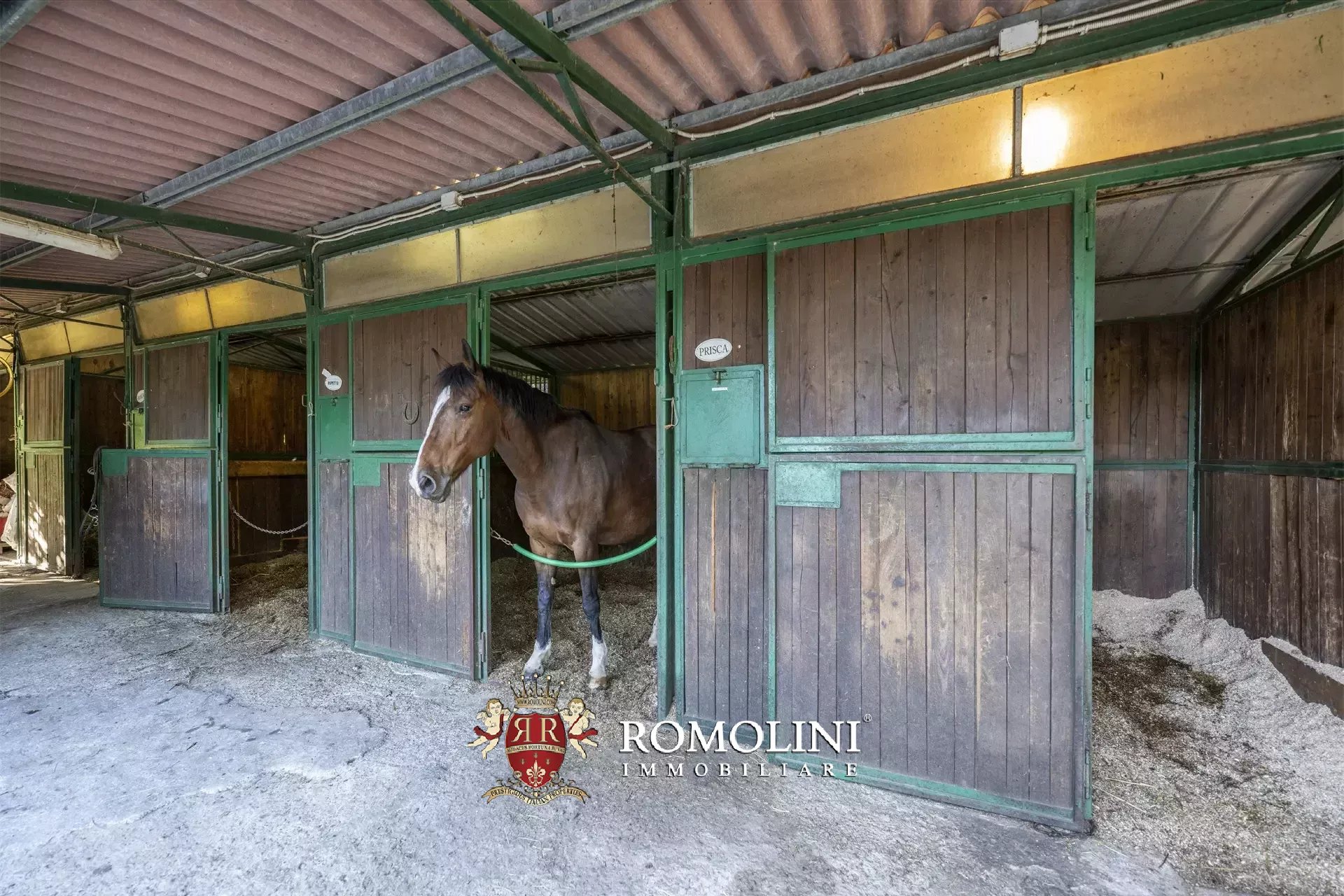 9 Bedroom Horse Property's Image 21