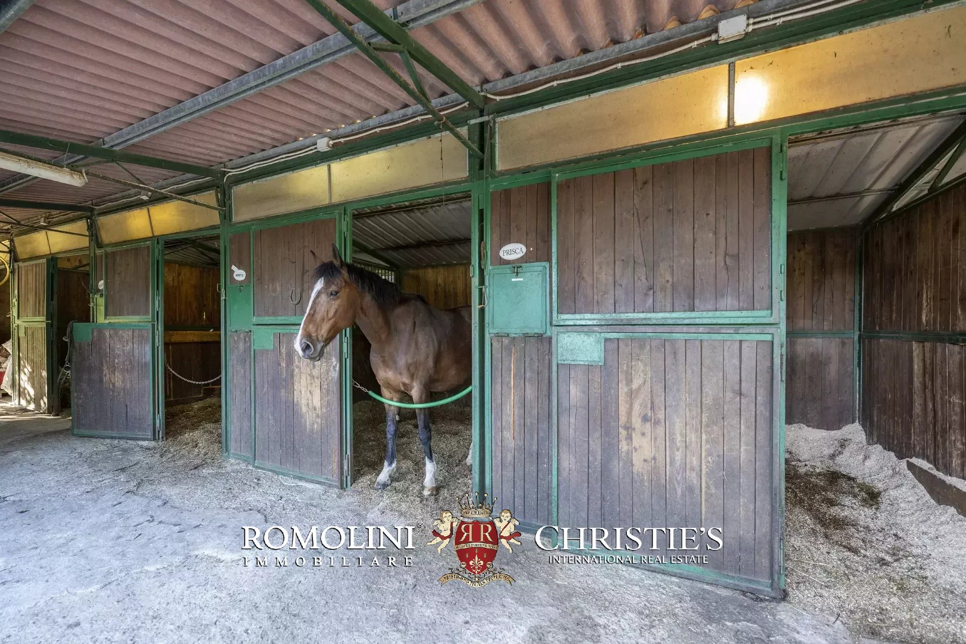 9 Bedroom Horse Property's Image 21