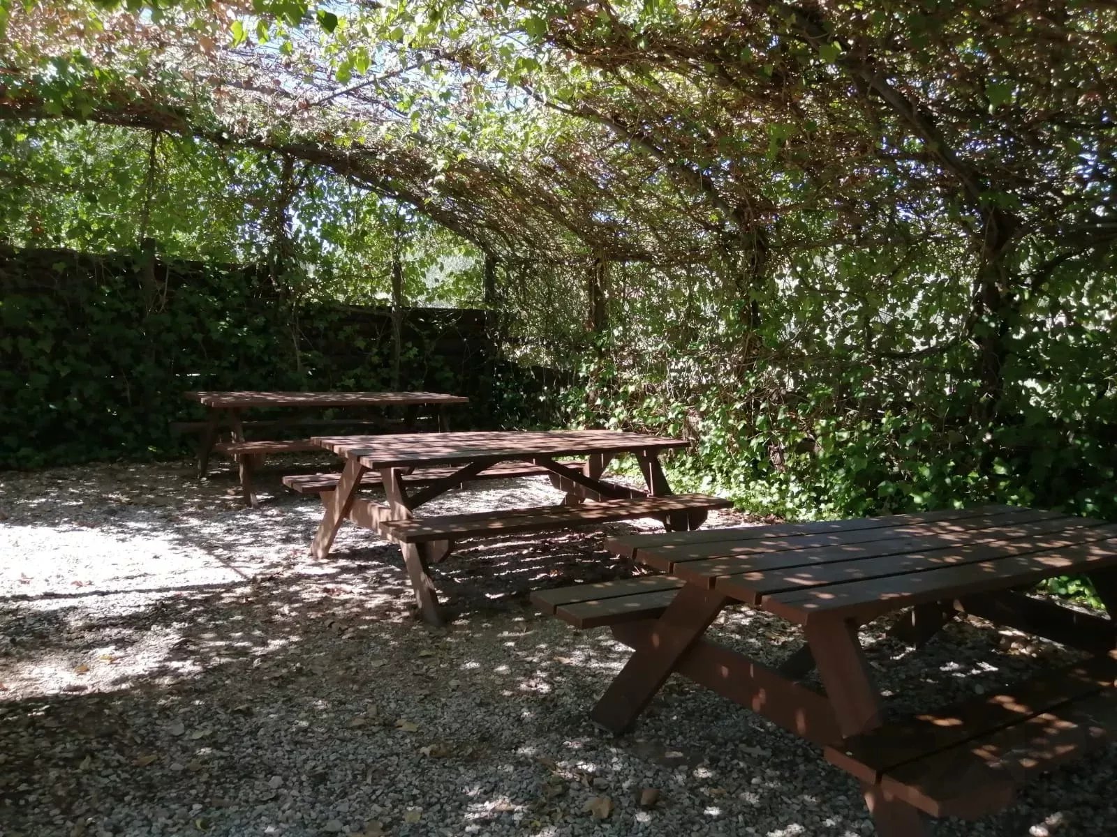 Herdade Cativante in Alentejo: A Tourist Investment with Immeasurable Potential 🌿✨ 86362095 image 21