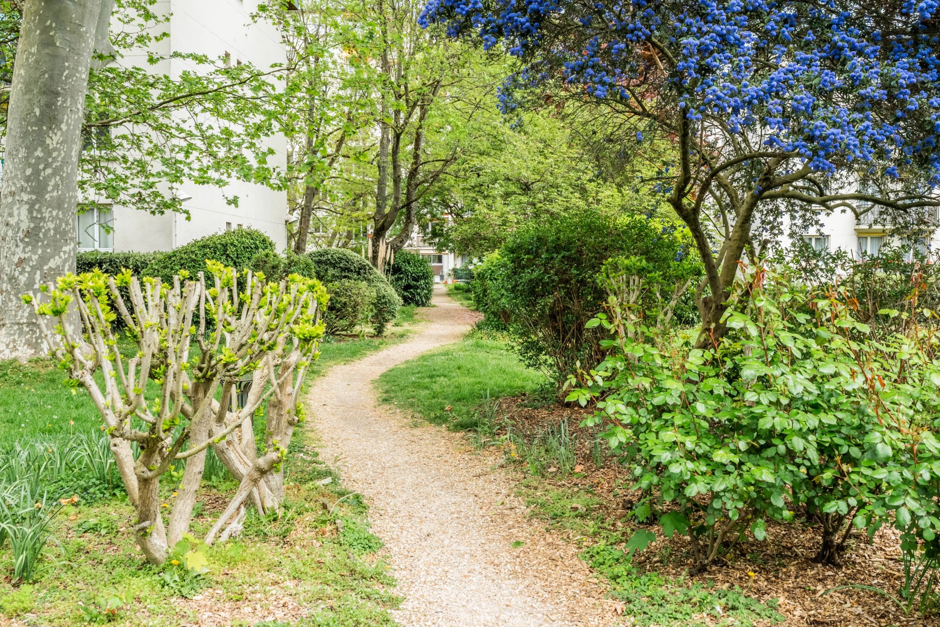 Property Slider Image
