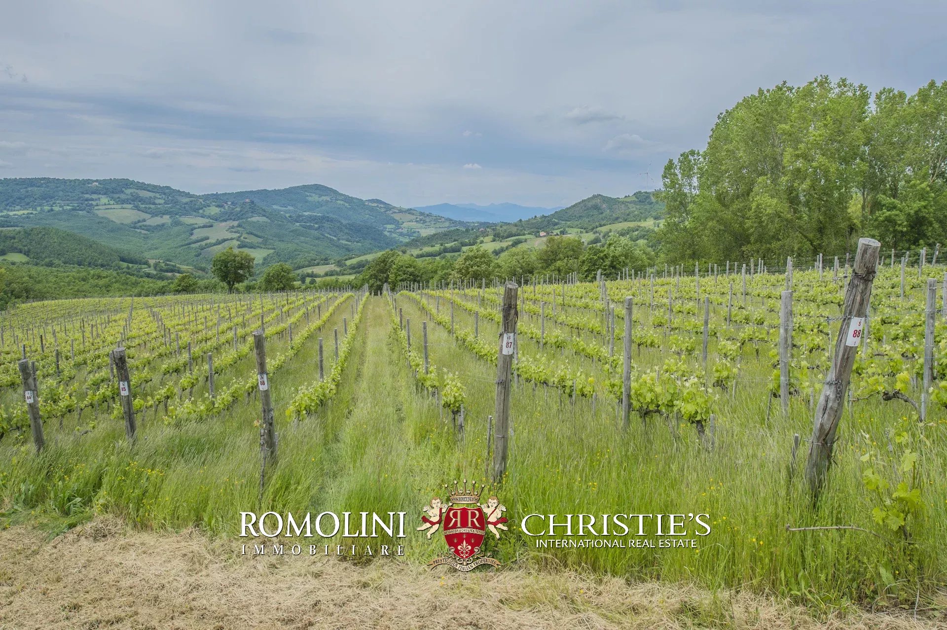 6 Bedroom Vineyard's Image 16