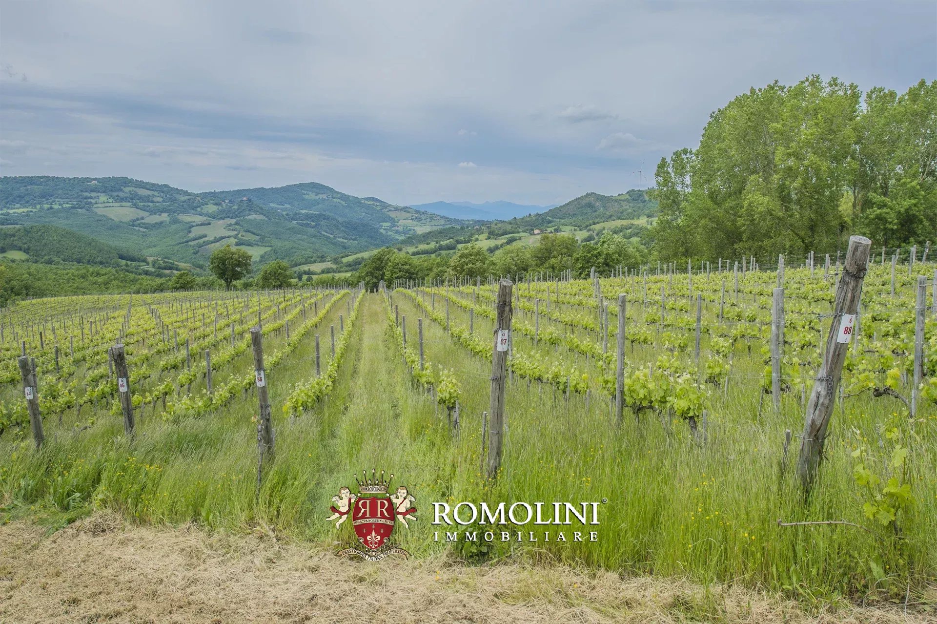 6 Bedroom Vineyard's Image 16