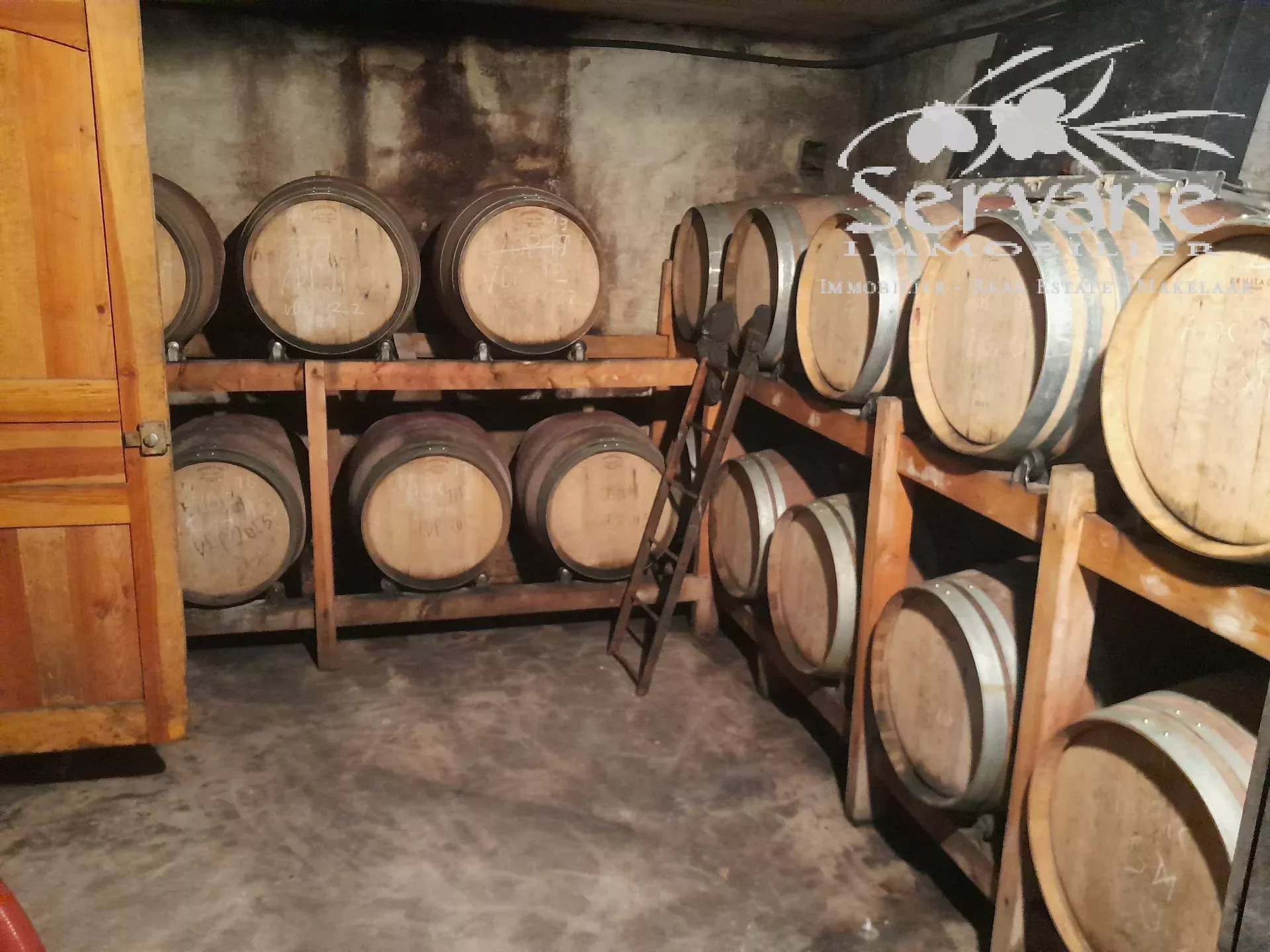 VINEYARD IN PROVENCE CLOSE TO COTIGNAC TO SELL
