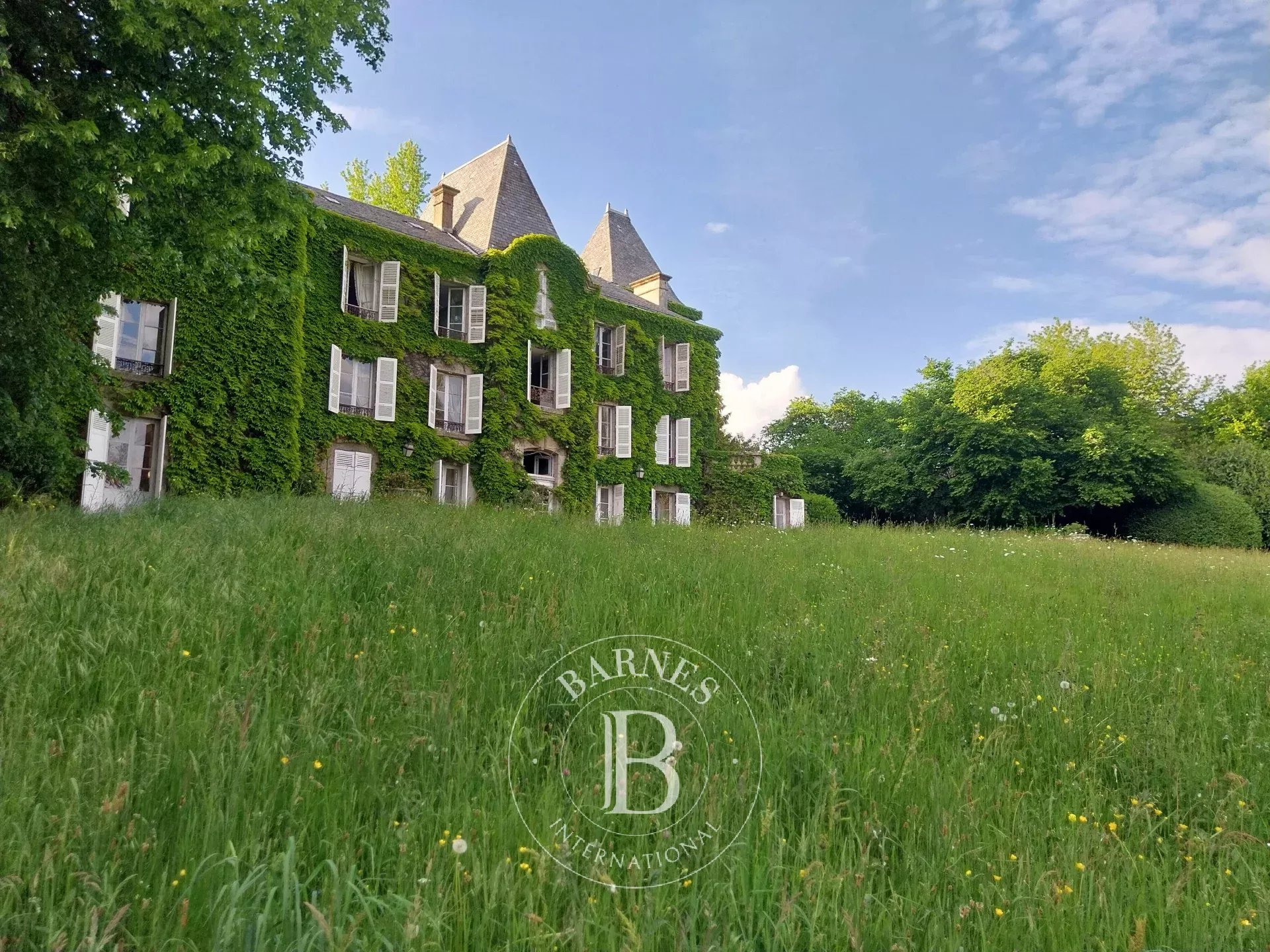 Château Limoges  -  ref 86969009 (picture 2)