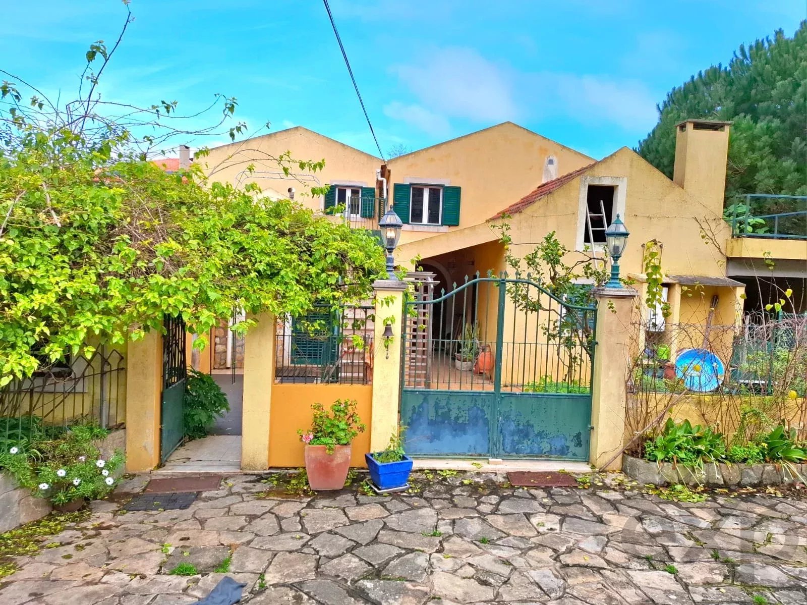 Sintra , Colares - Small farm with dream house 86819090 image 1