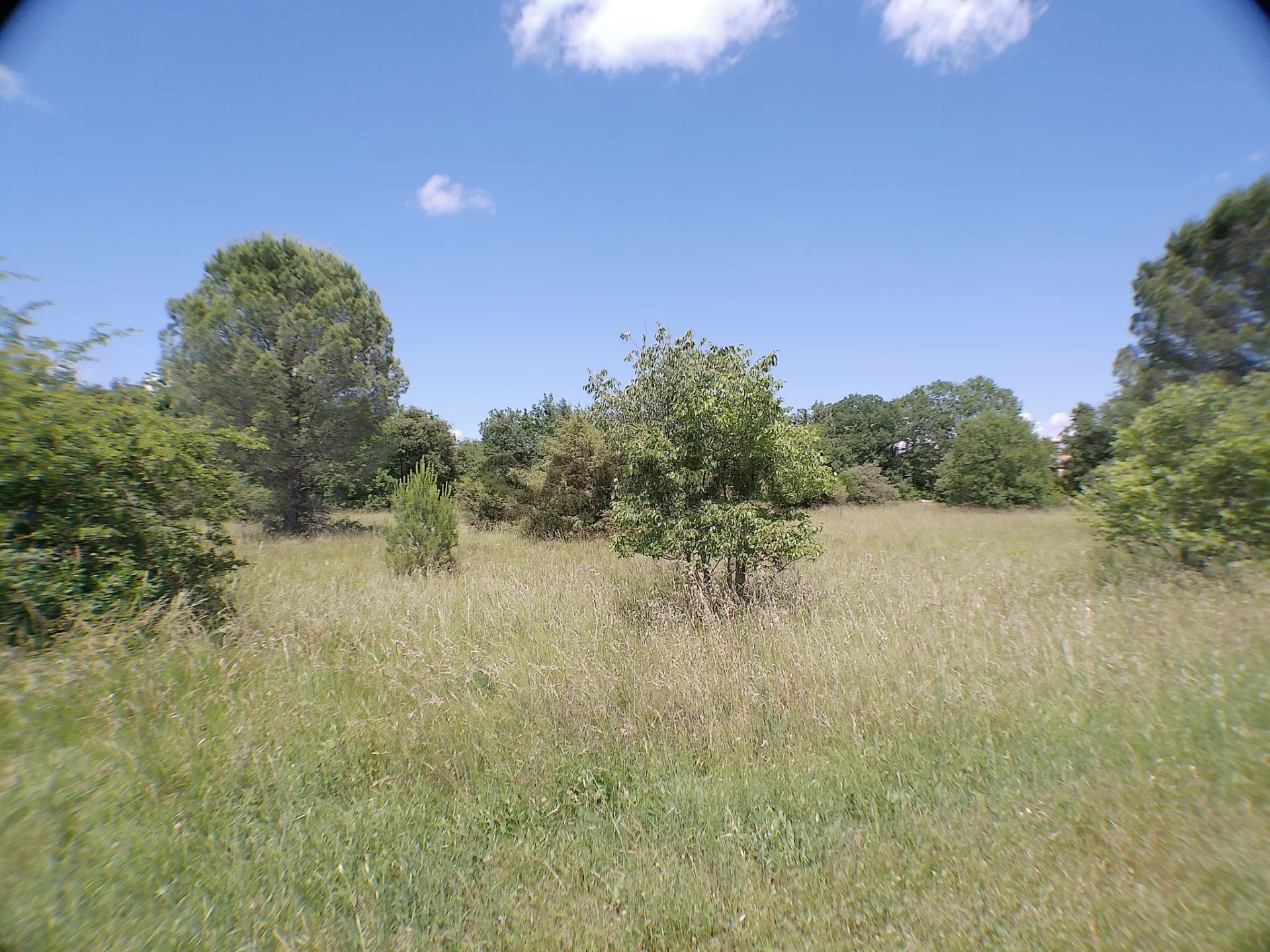 Vente Terrain Sauve