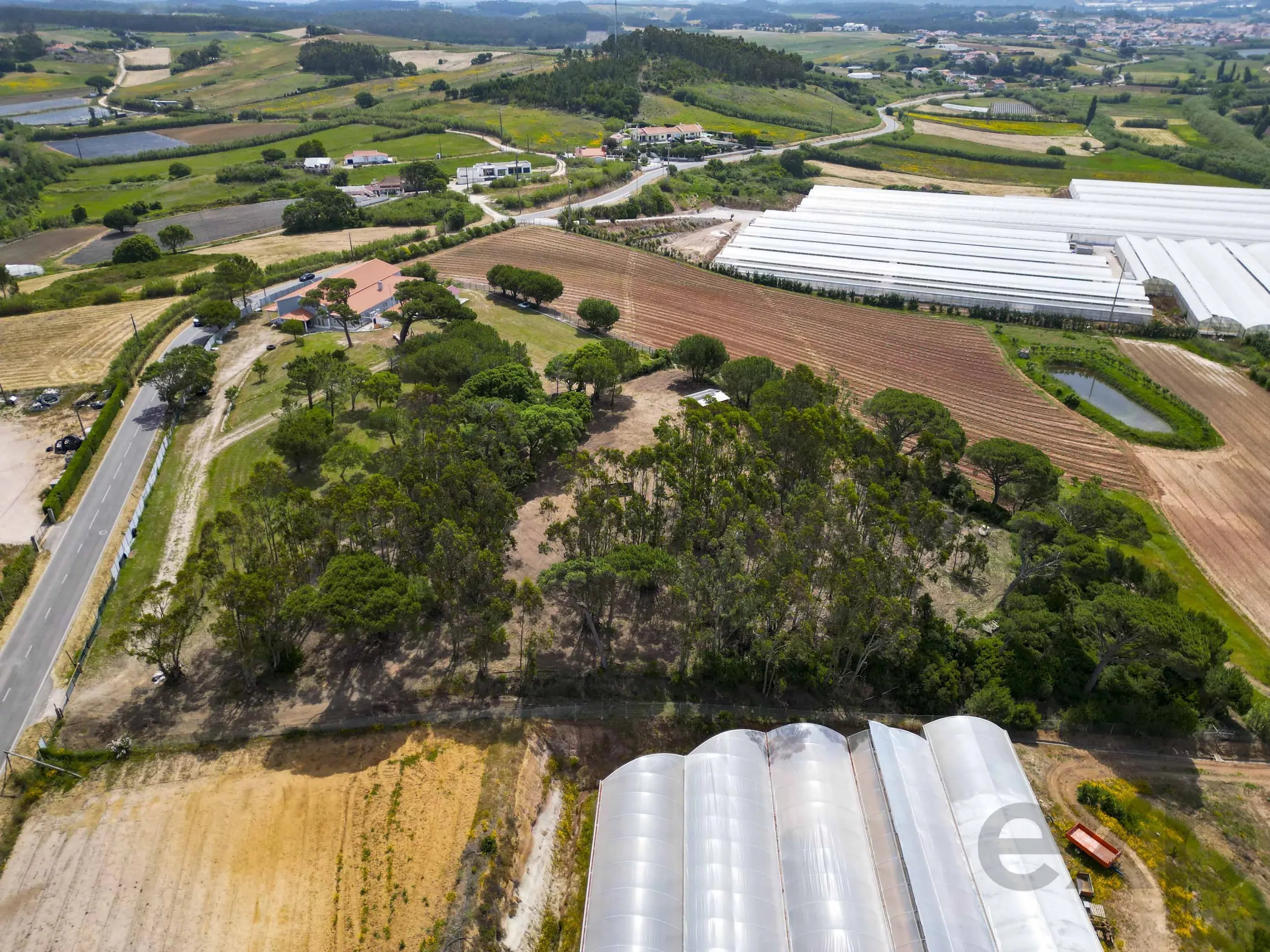 A dos Cunhados - Commercial farm with a plot of land measuring 9630 square meters 87016840 image 36