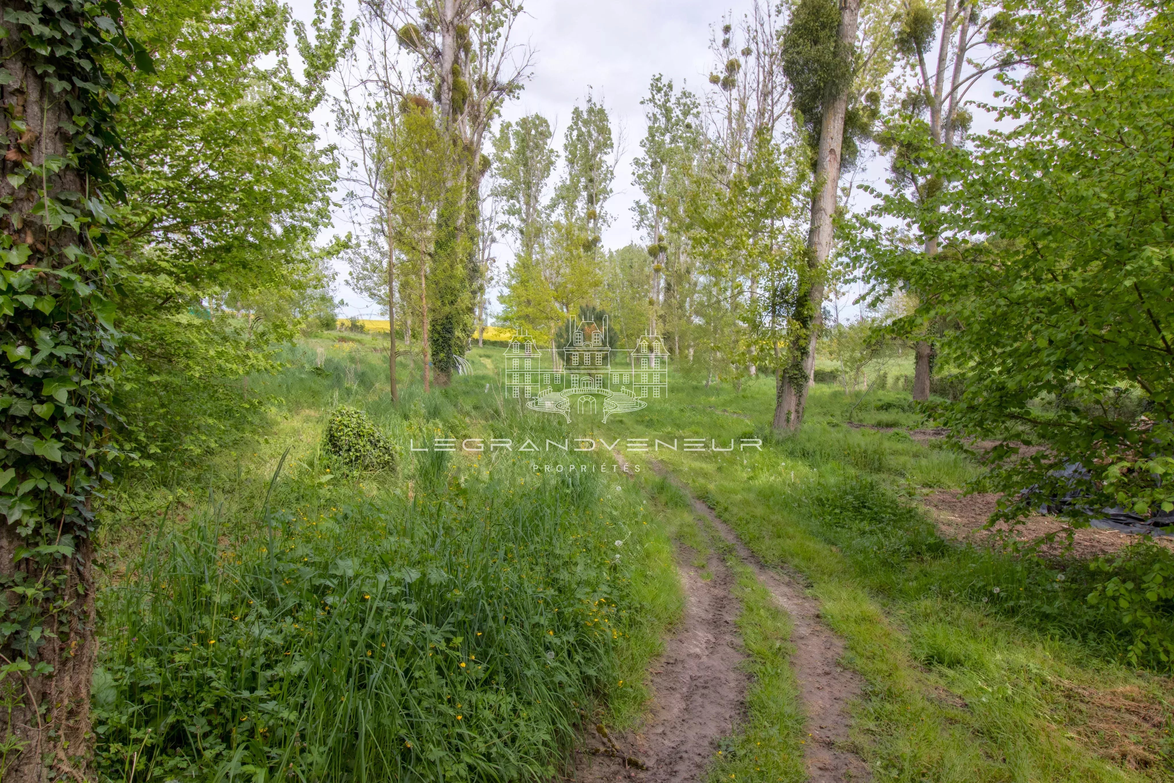 Sale House Vernou-la-Celle-sur-Seine