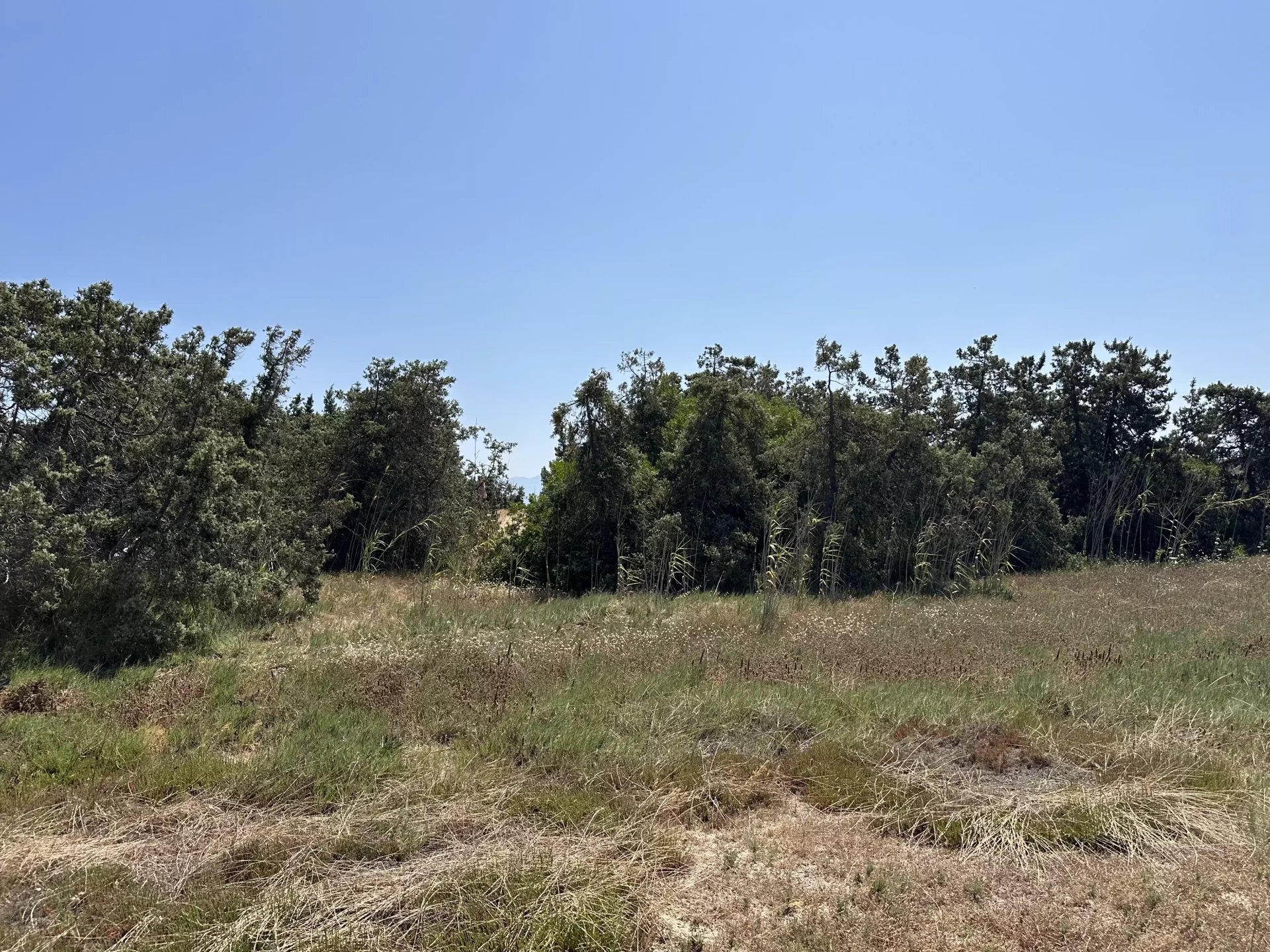 Εικόνα ιδιοκτησίας 17