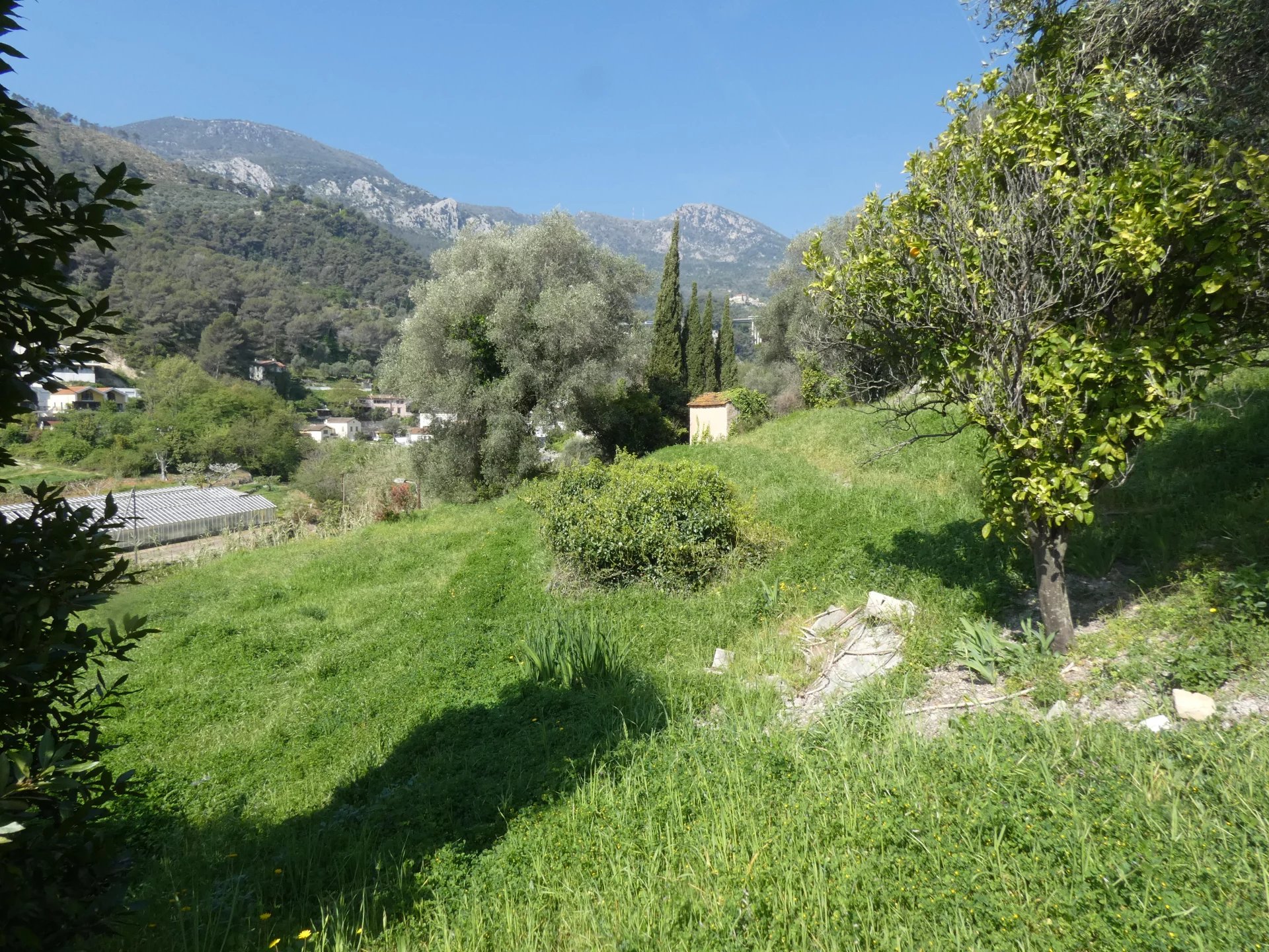 Vente Terrain constructible Gorbio