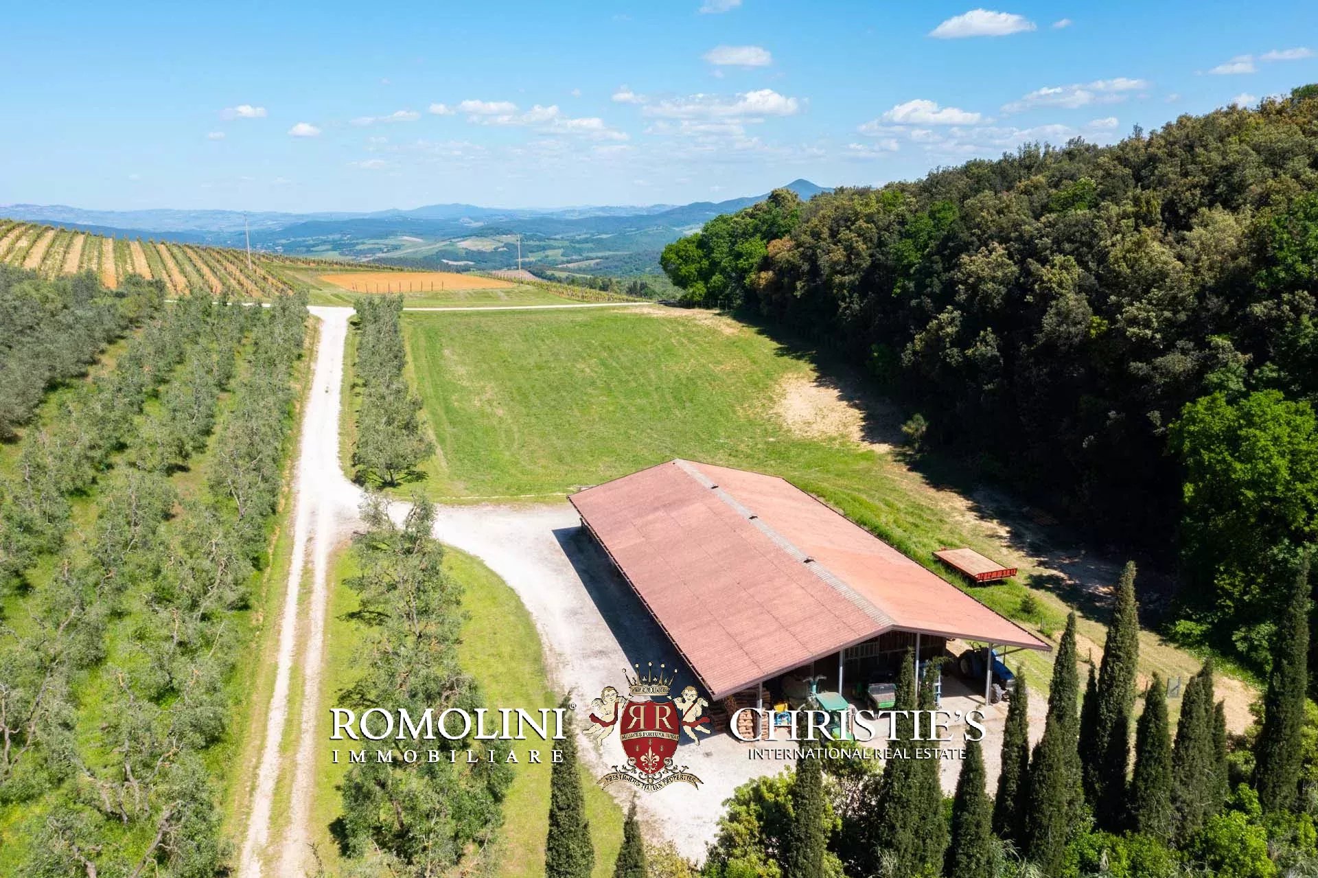 EQUESTRIAN SEA VIEW WINE ESTATE WITH VINEYARDS FOR SALE CLOSE TO BOLGHERI, TUSCANY