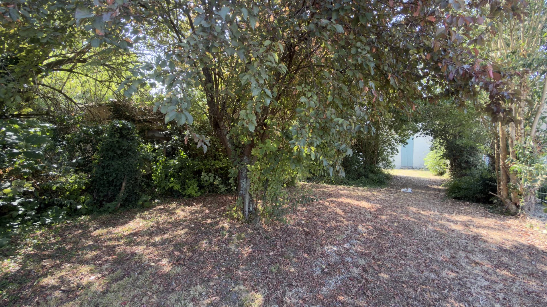 Maison 80m² — Plassac