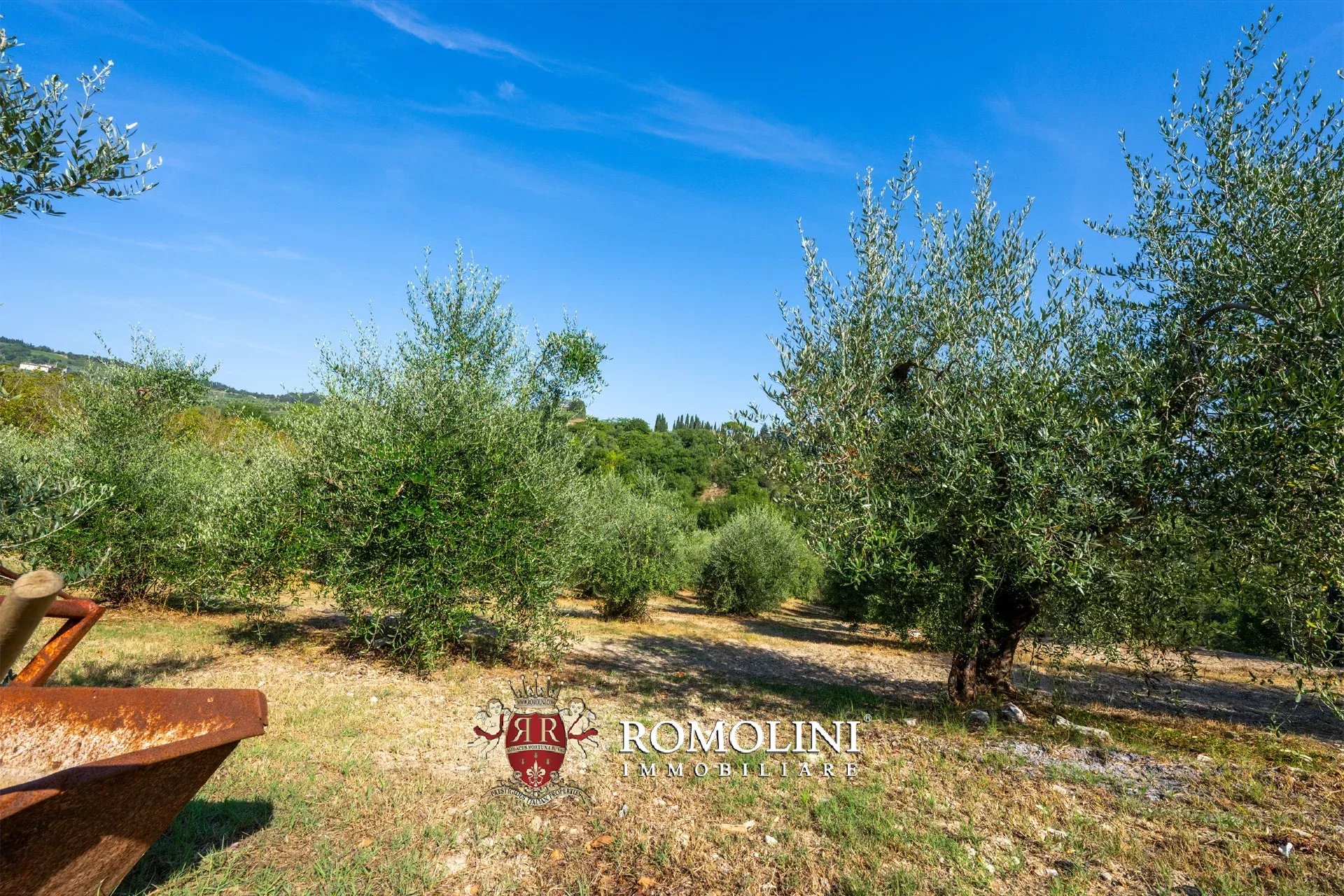3 Bedroom Vineyard's Image 22