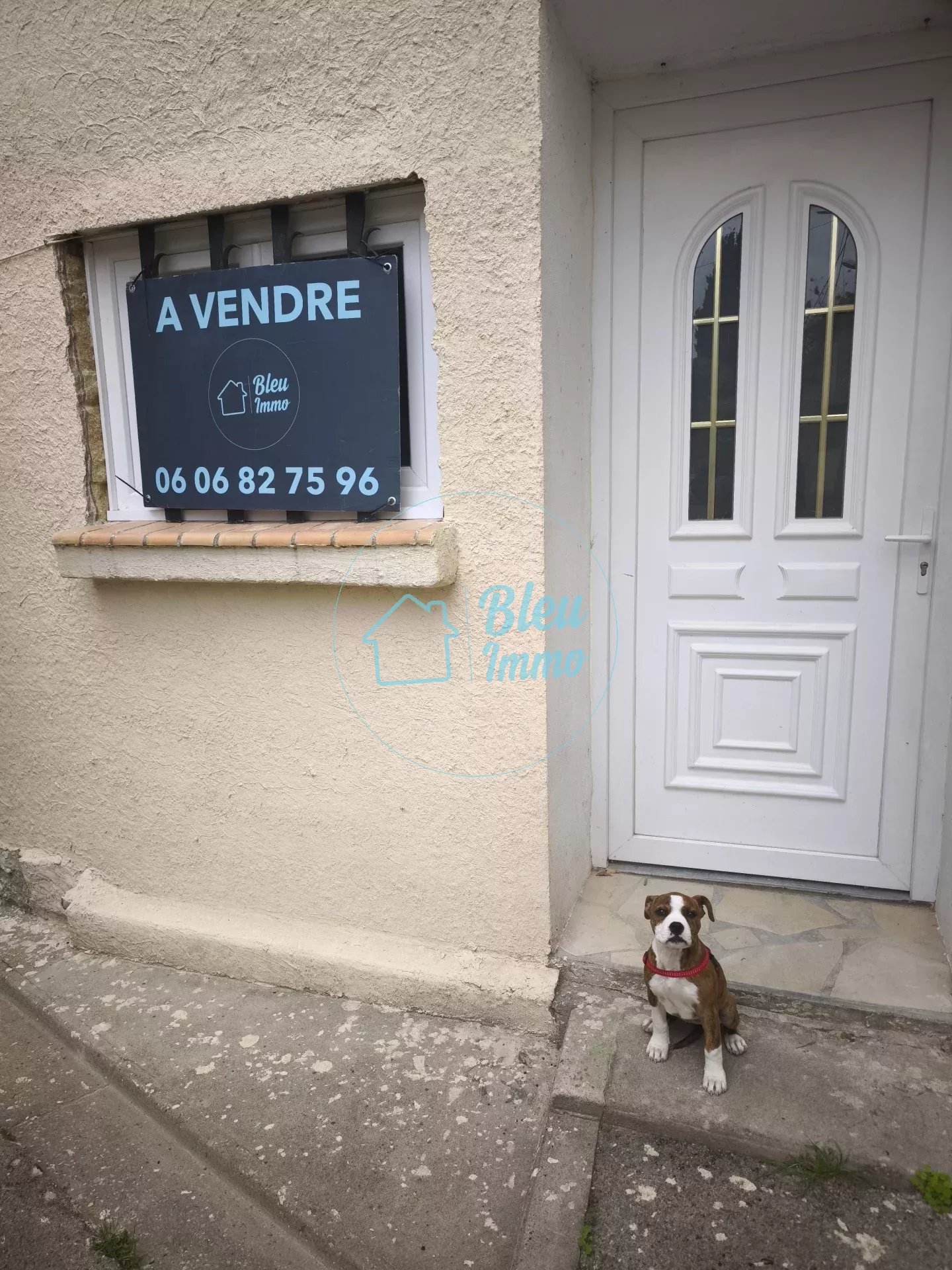 Agence immobilière de Bleu Immo