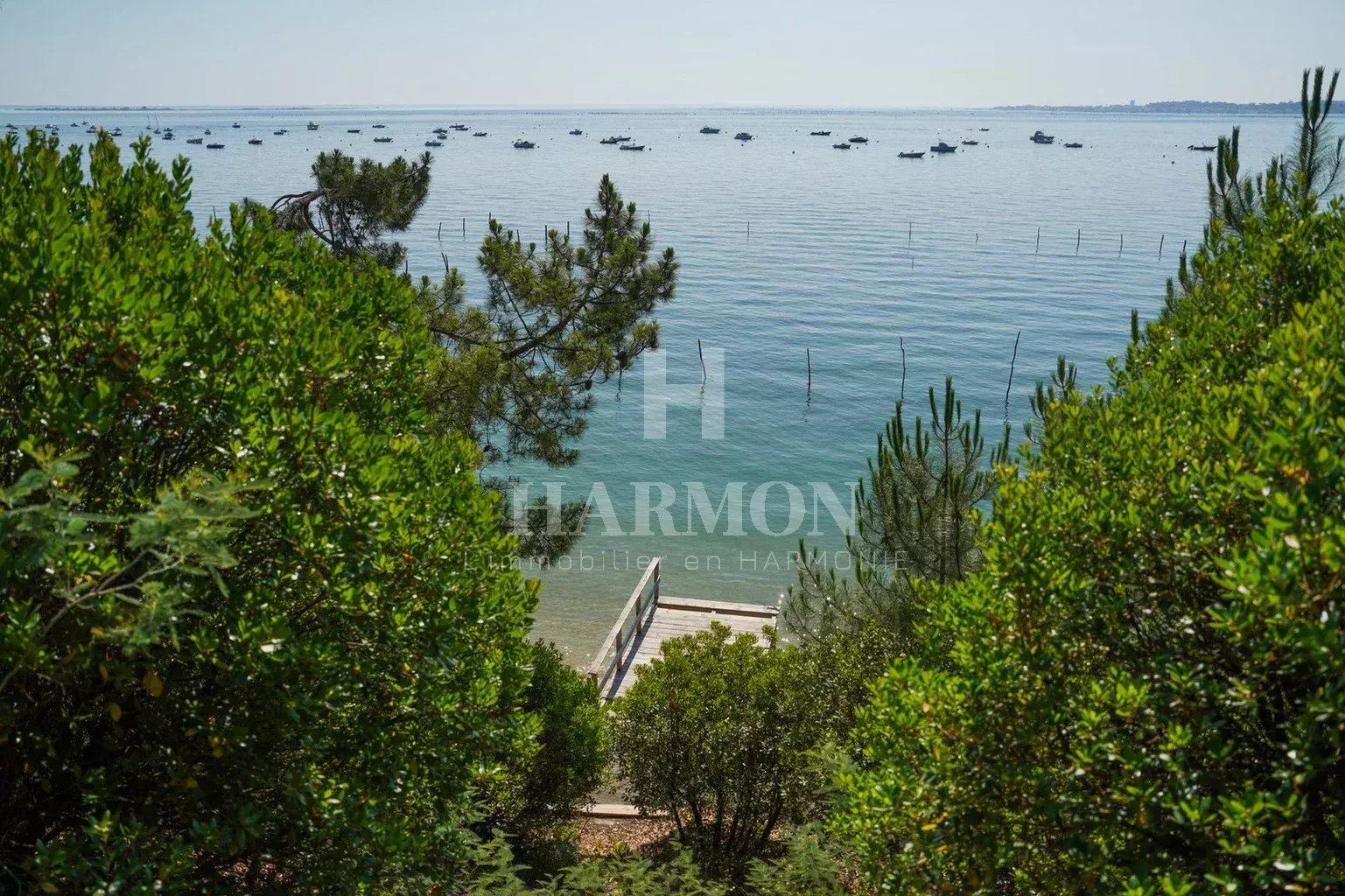 Cap-Ferret – Villa d'exception face au Bassin d'Arcachon - Photo 5