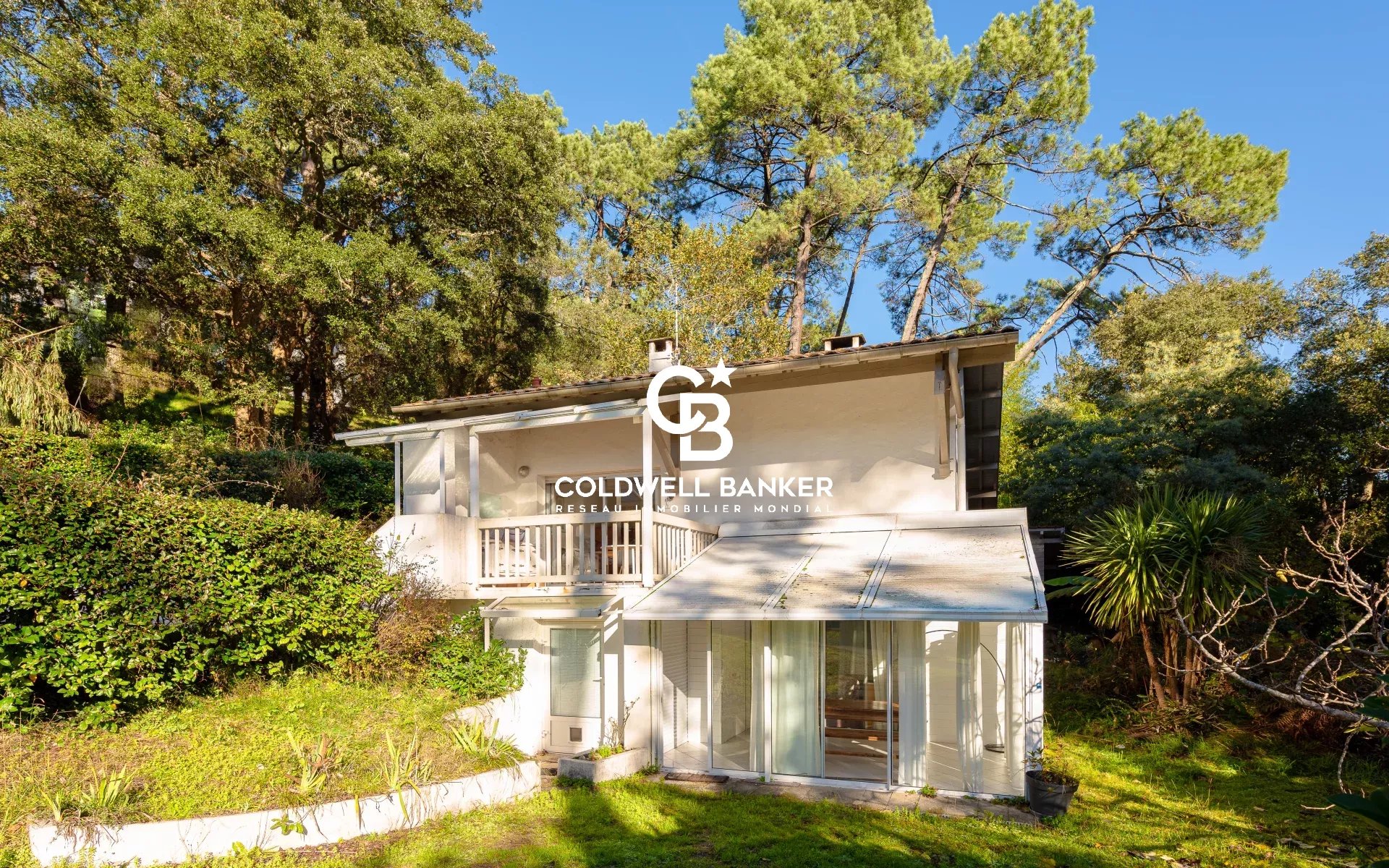 Agence immobilière de Coldwell Banker Surfin Realty