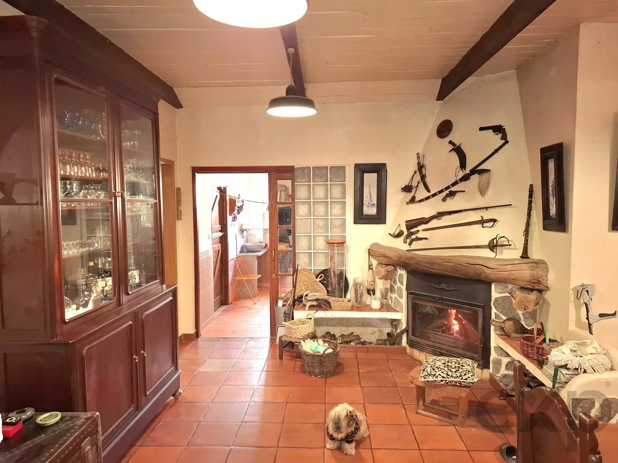 Sintra , Colares - Small farm with dream house 86819090 image 22