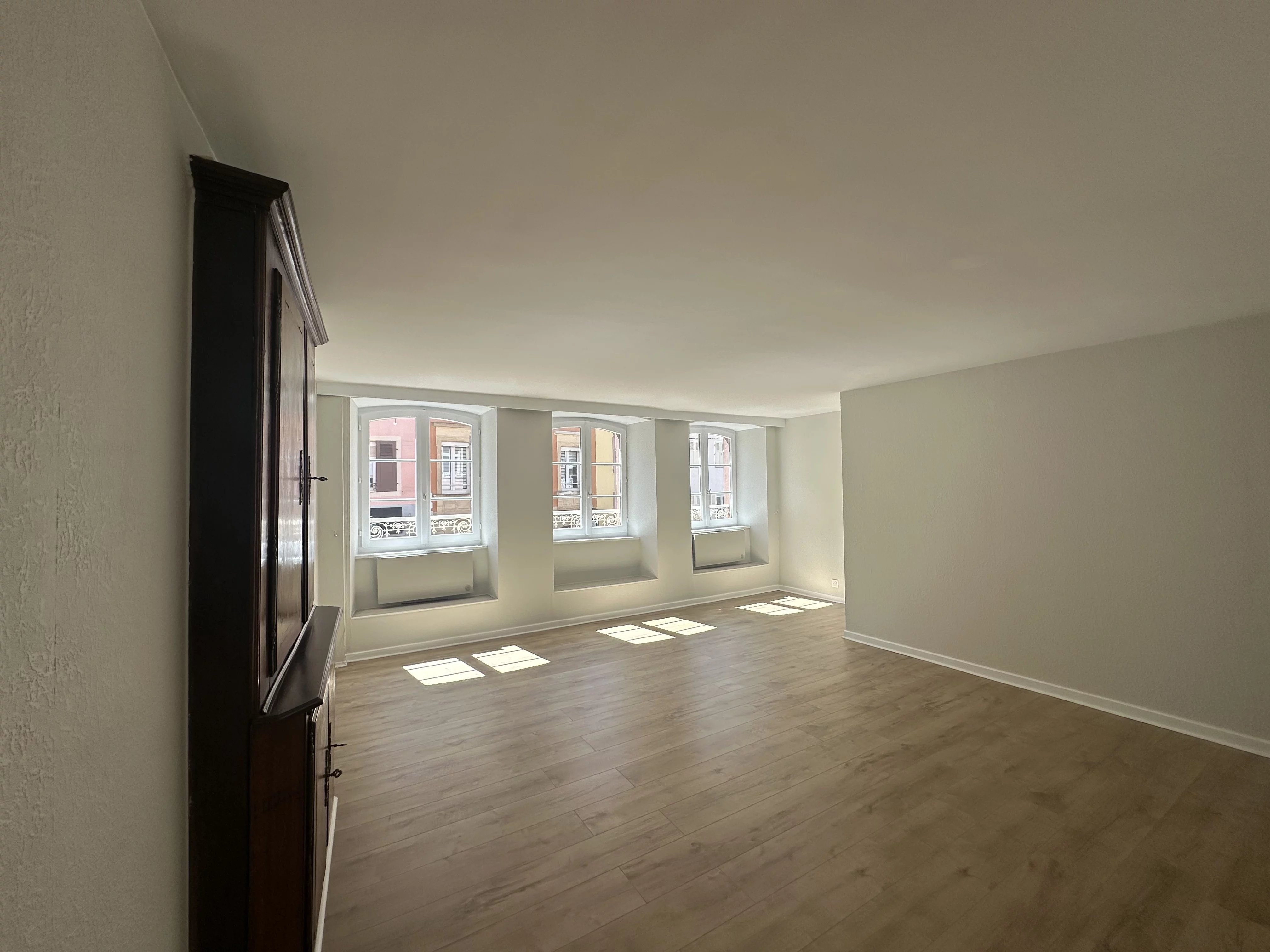CENTRE VILLE APPARTEMENT UNE PIECE ALTKIRCH — photo 7