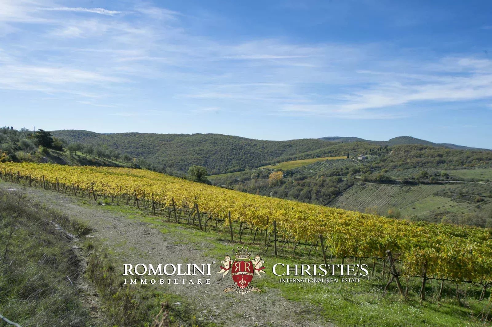 LUXURY HISTORICAL VILLA FOR SALE IN RADDA IN CHIANTI, TUSCANY