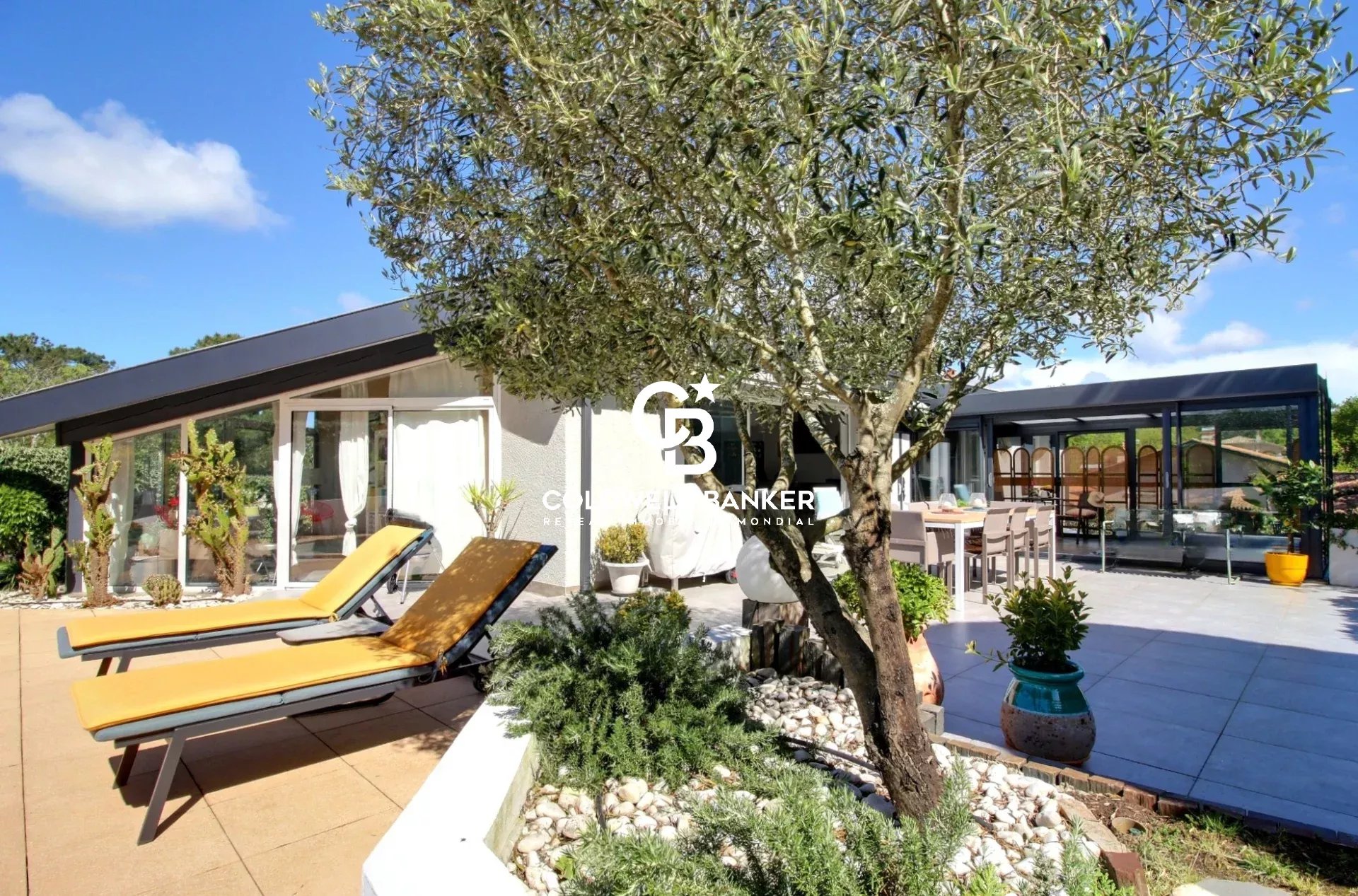Agence immobilière de Silver Coast Int. Realty